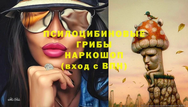 твердый Абаза